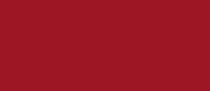 Wine Red RAL 3002