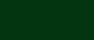 Dark Green RAL 6005
